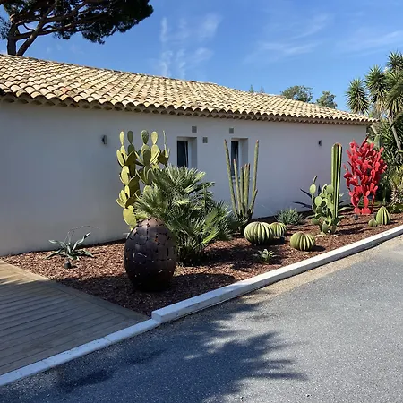 Couette-café De La Dame Saint-Tropez